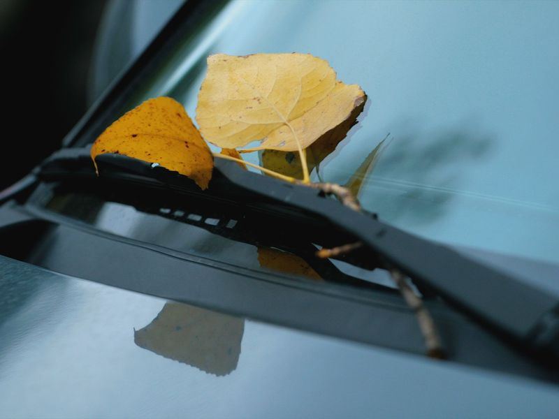 Windshield replacement job in the Downtown neighborhood of Sioux City
